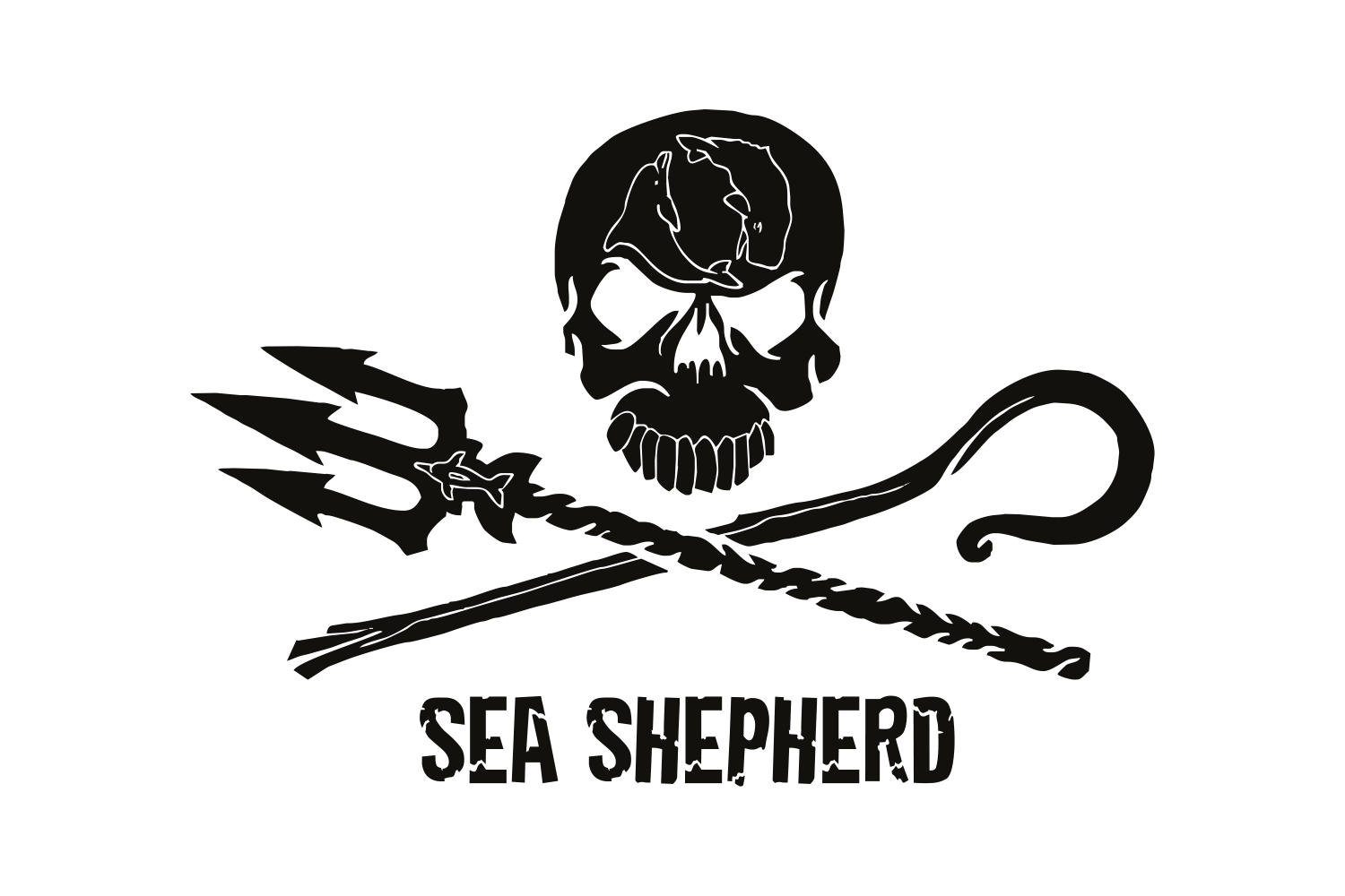 Sea Shepherd Deutschland e.V. // evomedien, wordpress & TYPO3 aus Kiel